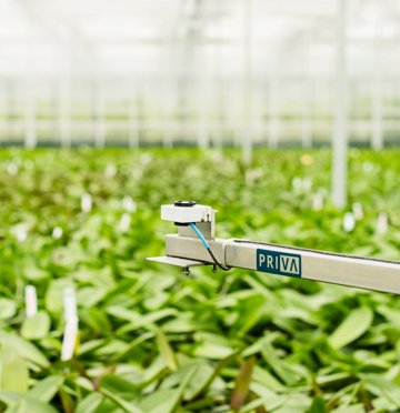 Sensor PAR Priva Bonito Plants
