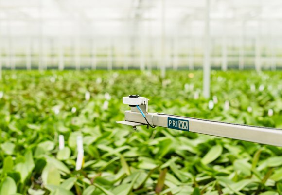 Sensor PAR Priva Bonito Plants